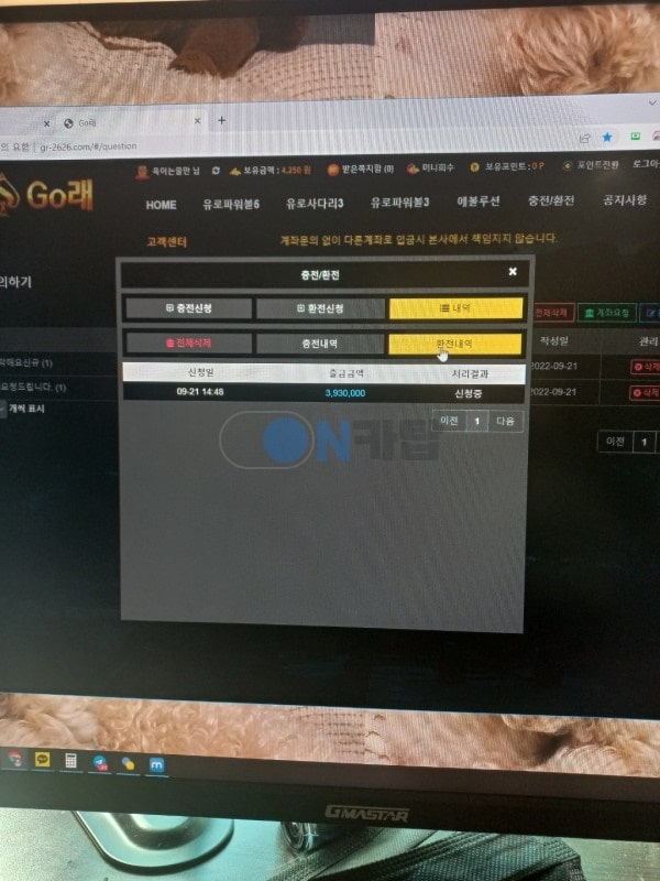 GO래카지노 먹튀